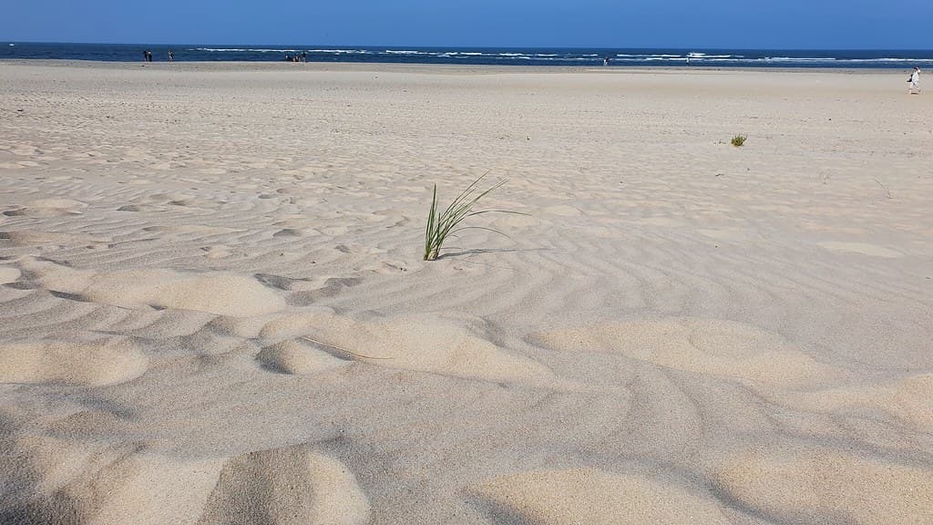 Neßmersiel Beach — photo by landeicgn