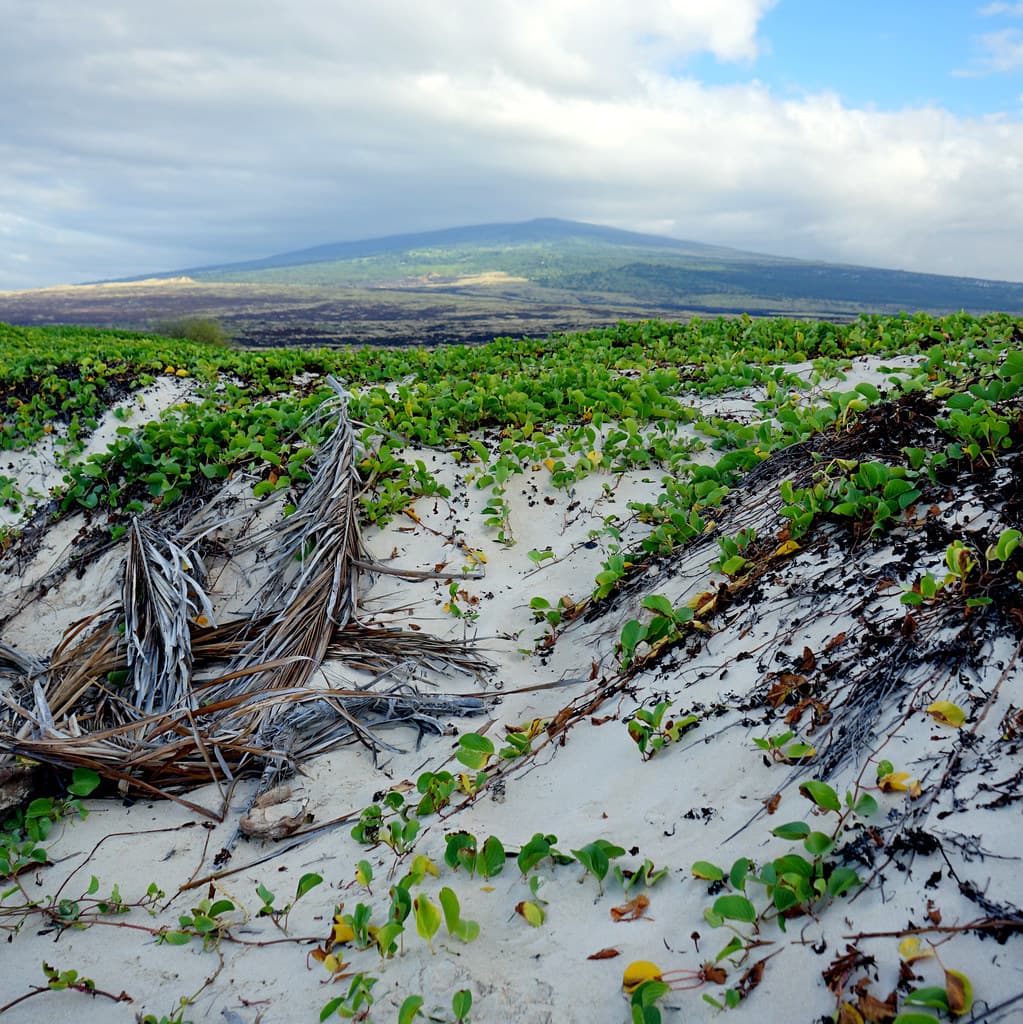 Kekaha Kai State Park, Hawai'i, Hawaii