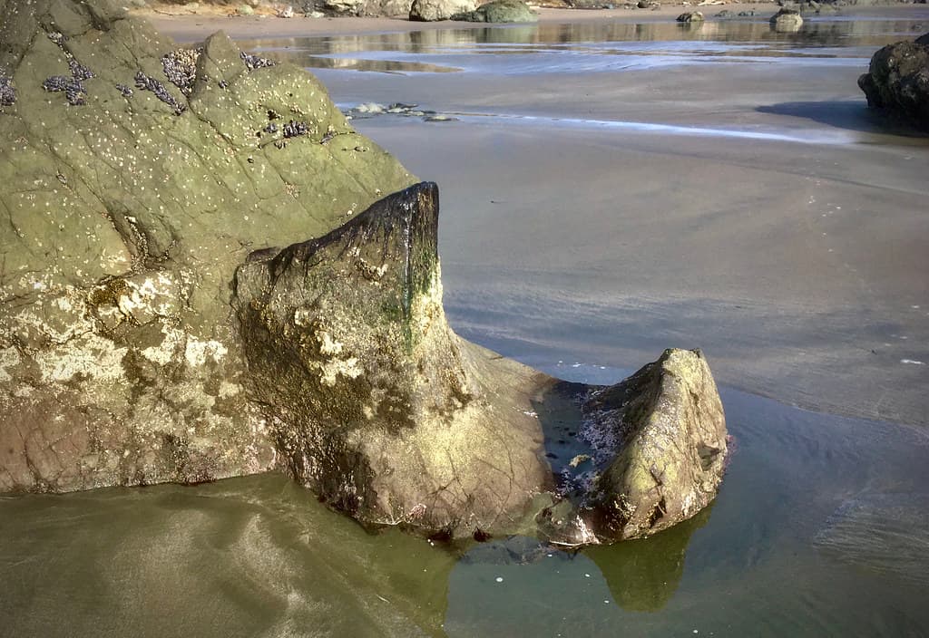 Mysterious saddle-stone at Hearst Beach
