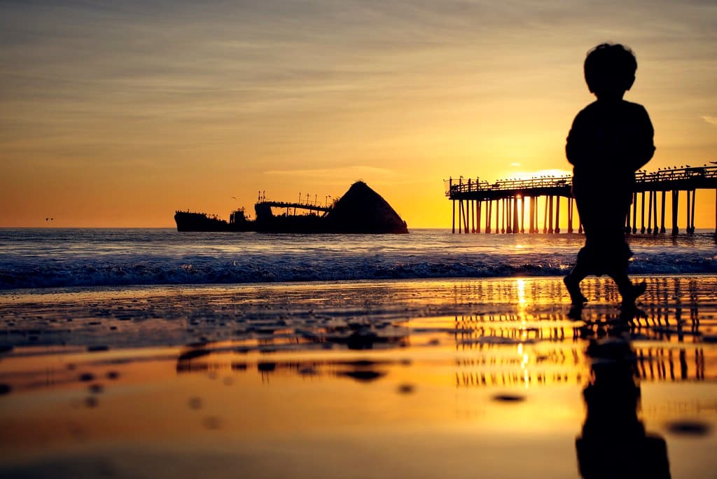 It's playtime at a California beach