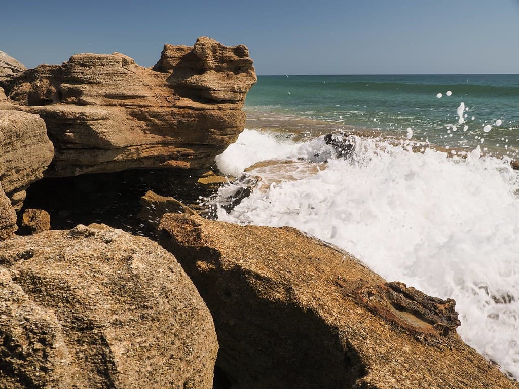 Another Look at Washington Oaks State Park