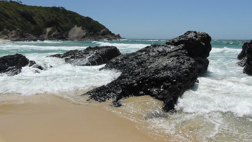 Burgess Beach (Forster)