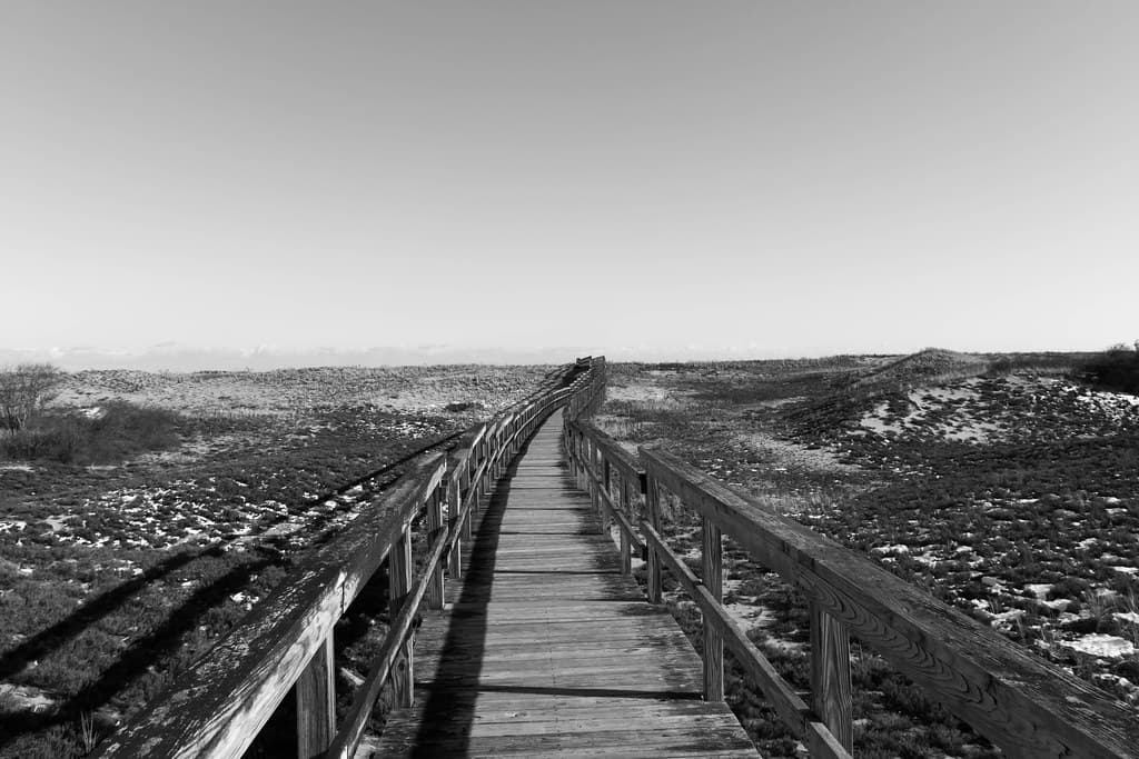 Plum Island National Seashore