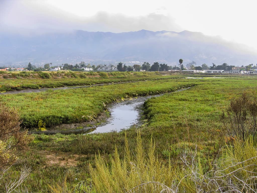 Carpinteria Salt Marsh 2007 07 28 05