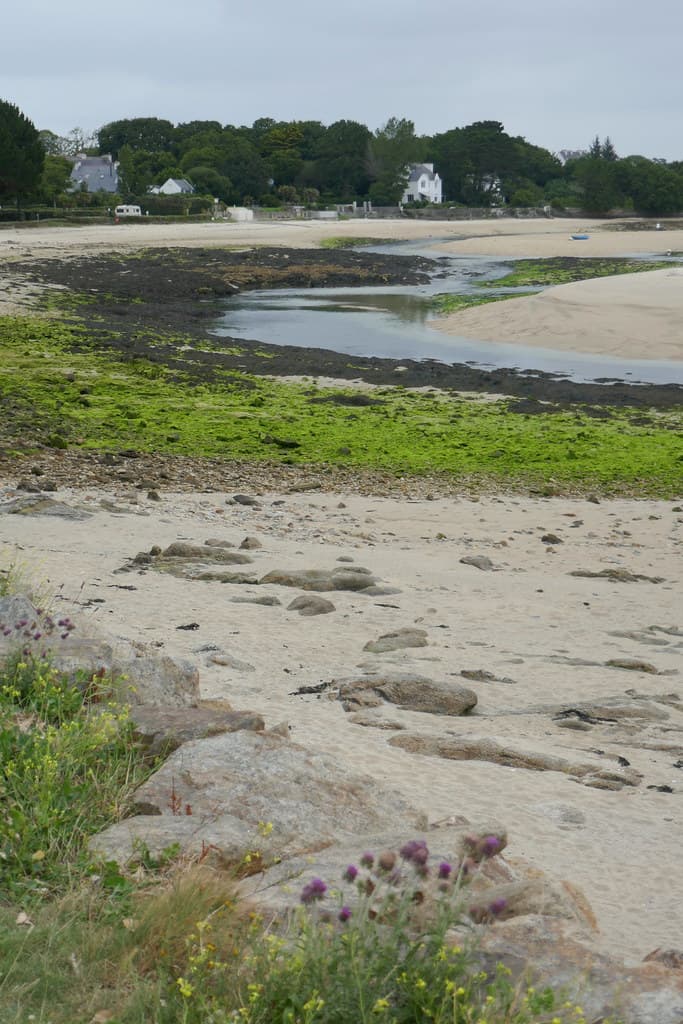 Plage de l'anse du Trez à marée basse, Bénodet, Pays fouesnantais, Cornouaille, Finistère, Bretagne, France.