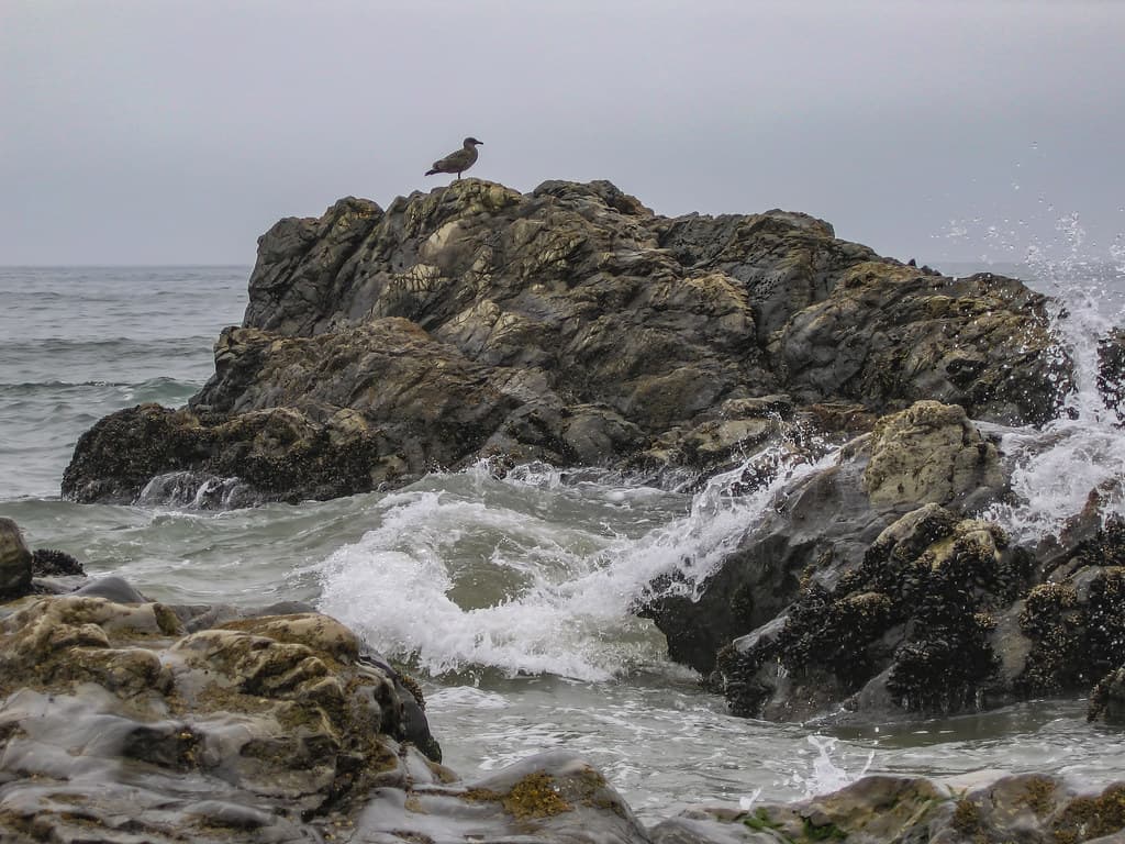 Beach 2007 07 28 13