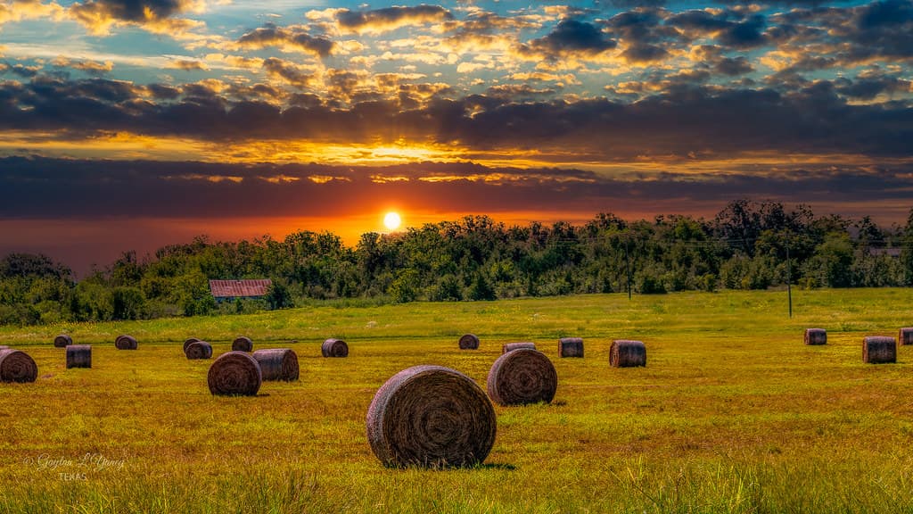 Hay...How Ya Do'in?
