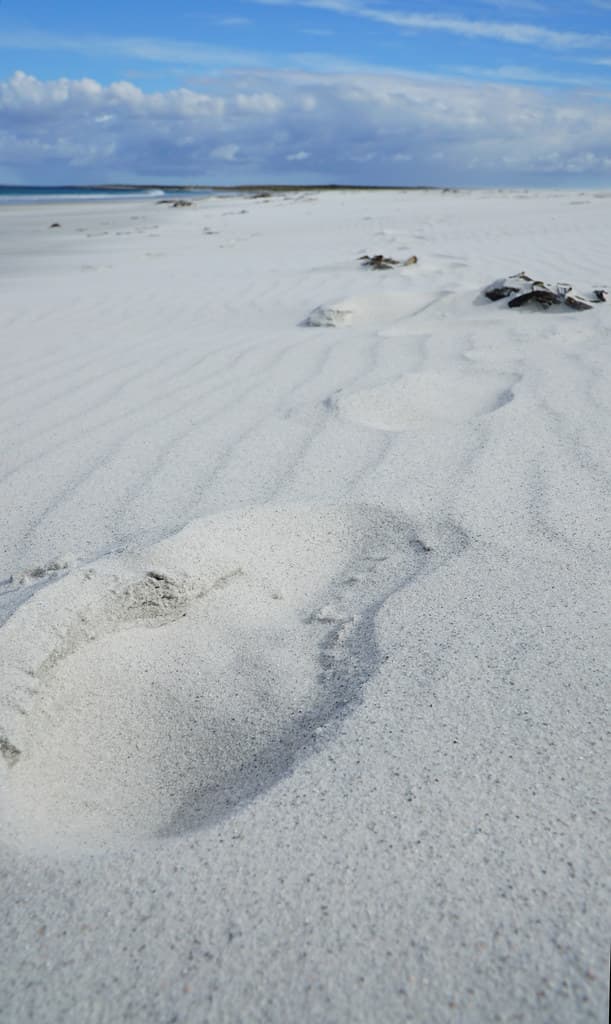 Leave only footprints