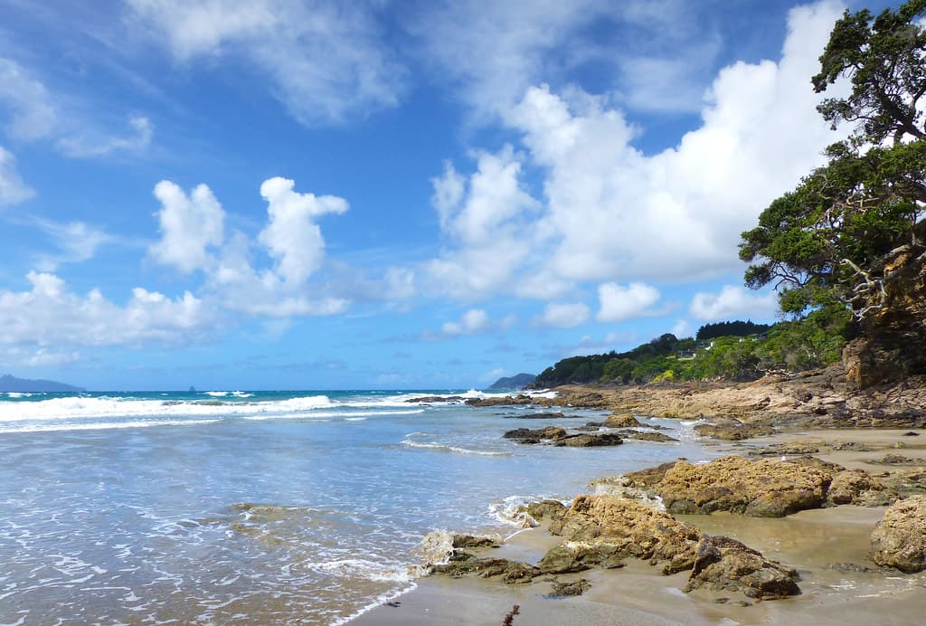 Waipu Cove — photo by Bernard Spragg