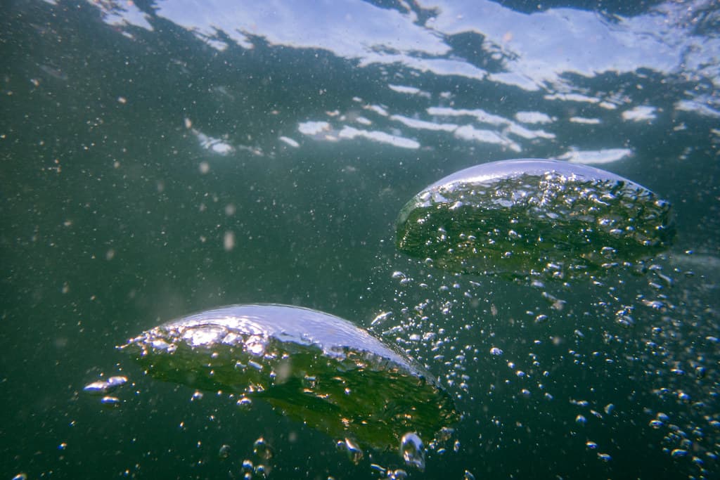 Bubbles underwater, Bellerive Beach, Hobart