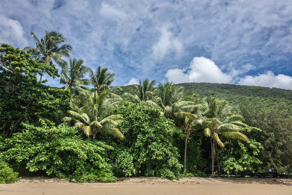 A lot of green, Ellis Beach, Far North Queensland