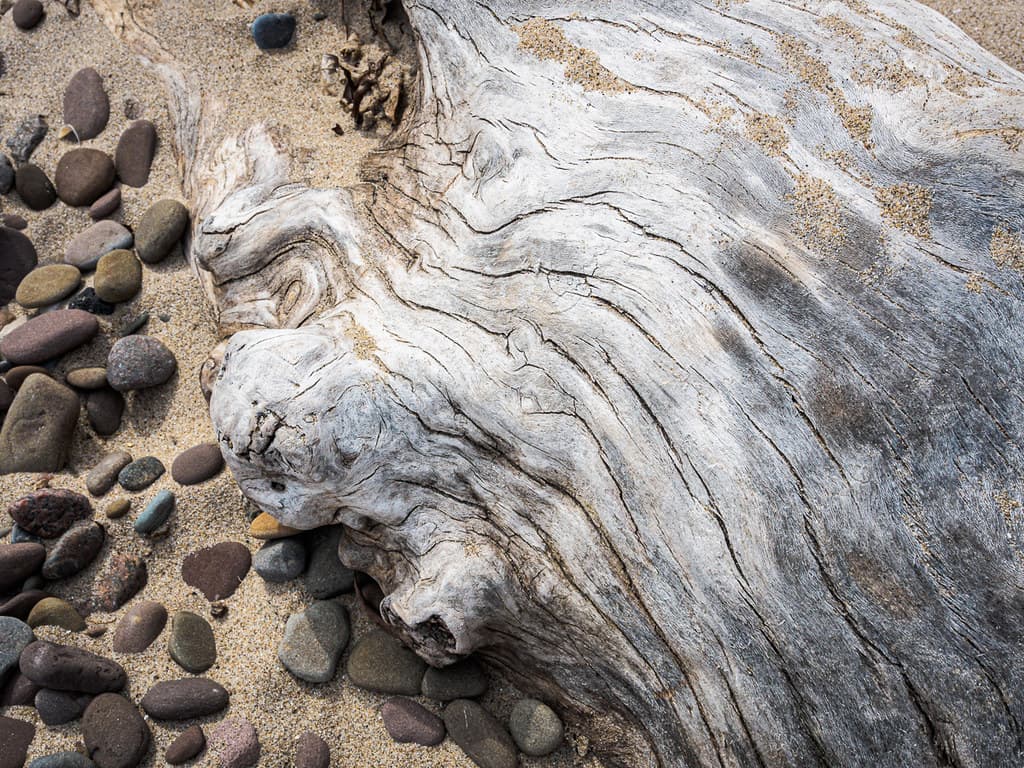 beach study