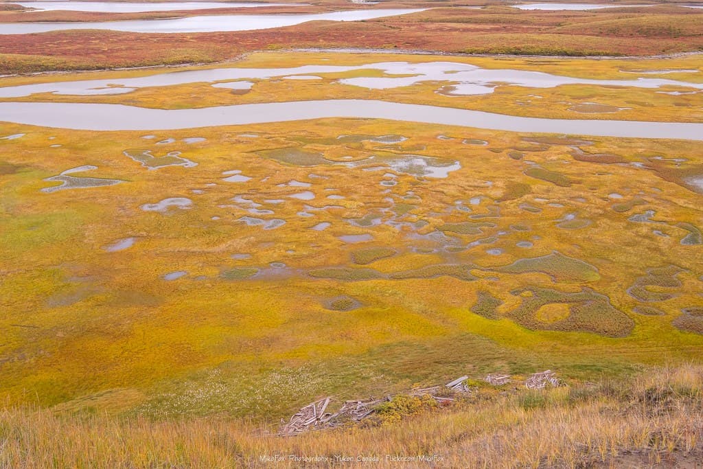 Marshland Below Ibyuk Pingo