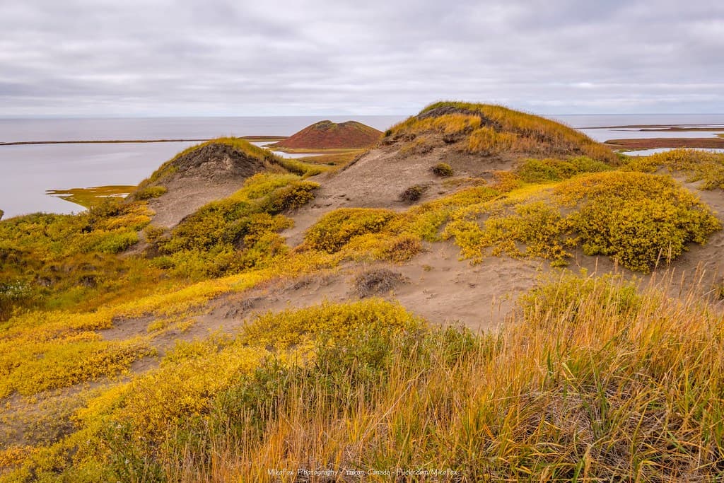Split Pingo and Eroded Top of Ibyuk Pingo