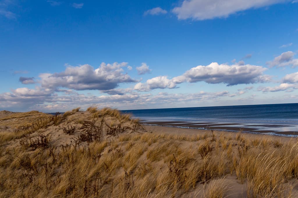 Bird Island Beach