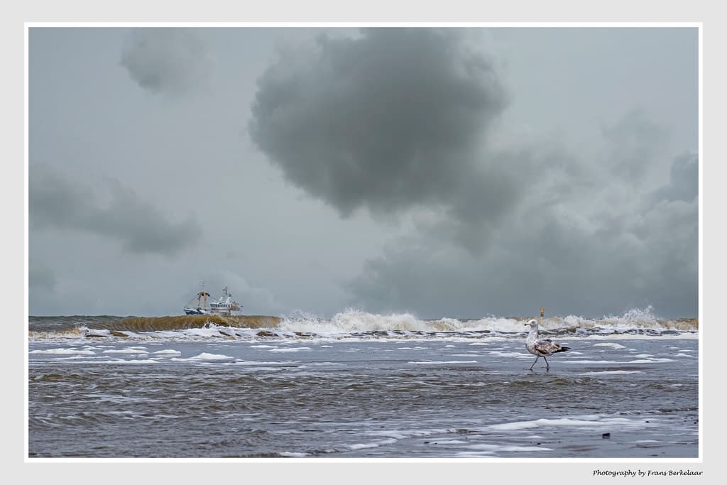 Nieuwe Waterweg Mouth Beach — photo by Frans Berkelaar