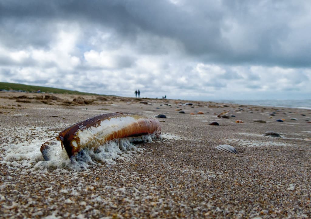 Bakkum Quiet Beach — photo by johan wieland