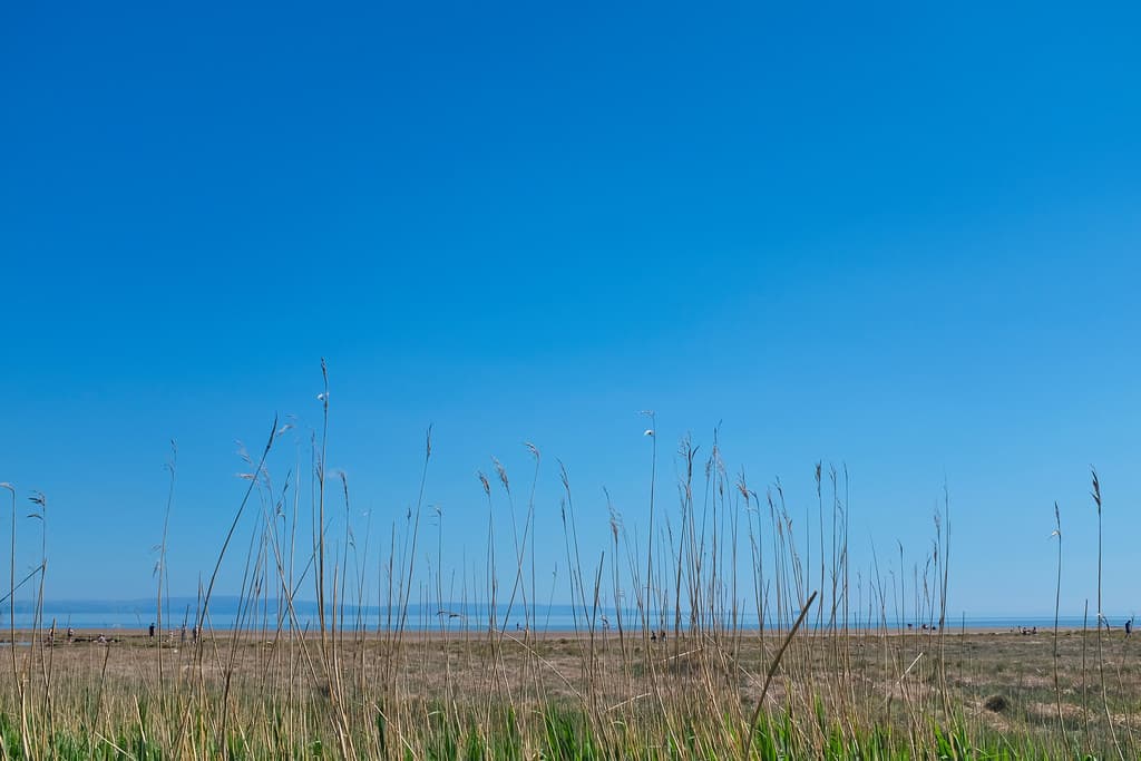 Piel Island Beach — photo by fuji.tim