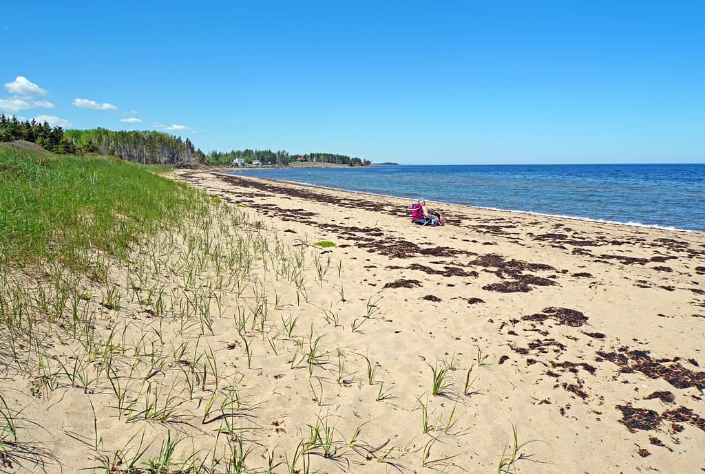 Chance Harbour Beach — photo by dgjarvis10@gmail.com