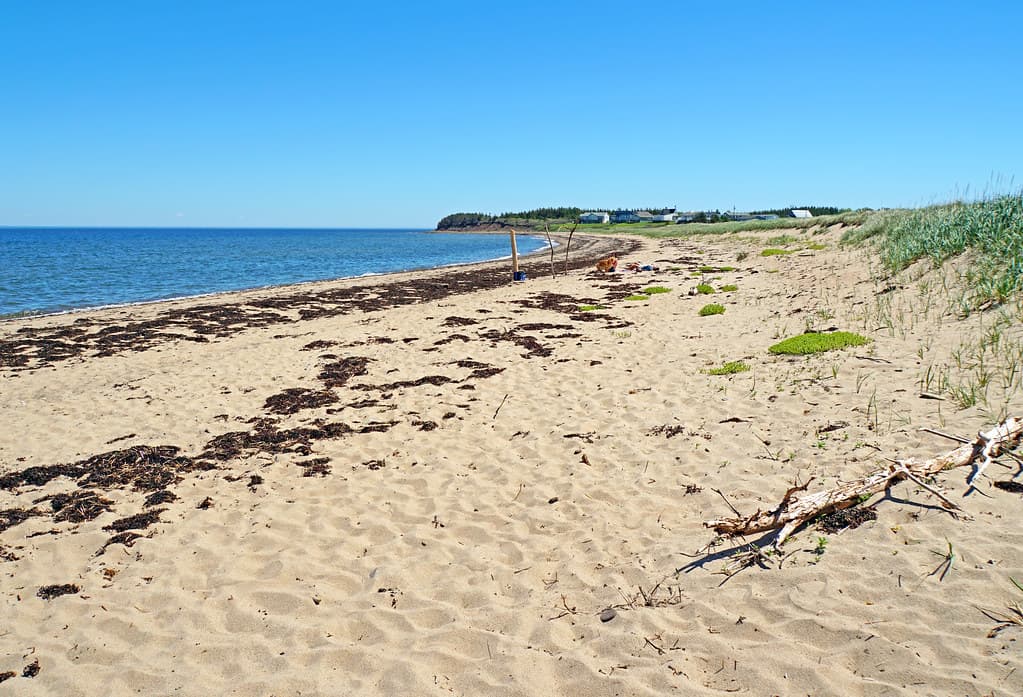 Chance Harbour Beach — photo by dgjarvis10@gmail.com
