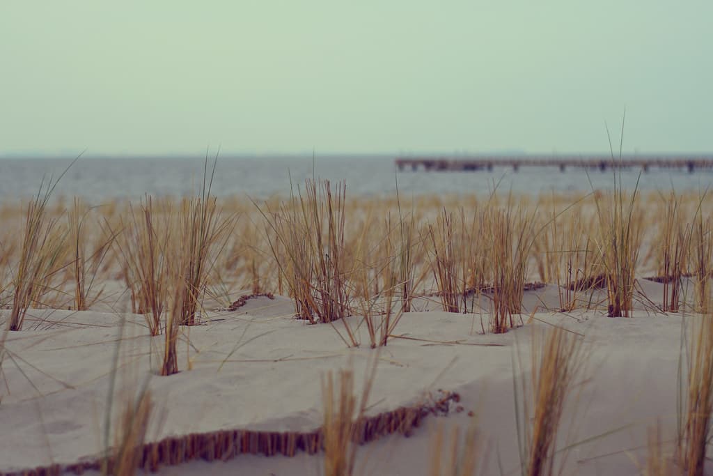 Gahlkow Beach — photo by lewinb