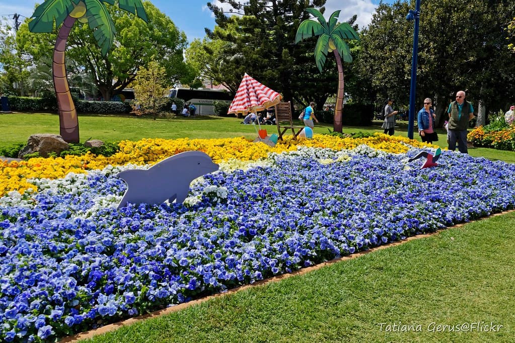 Floral Aussie beach