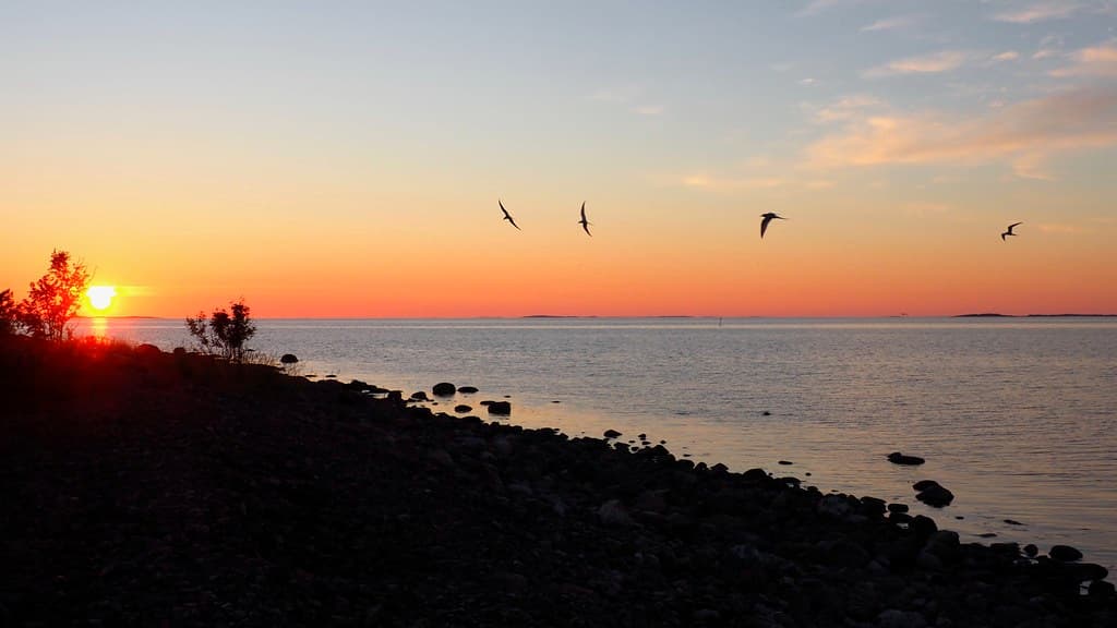 Jurmo Beach