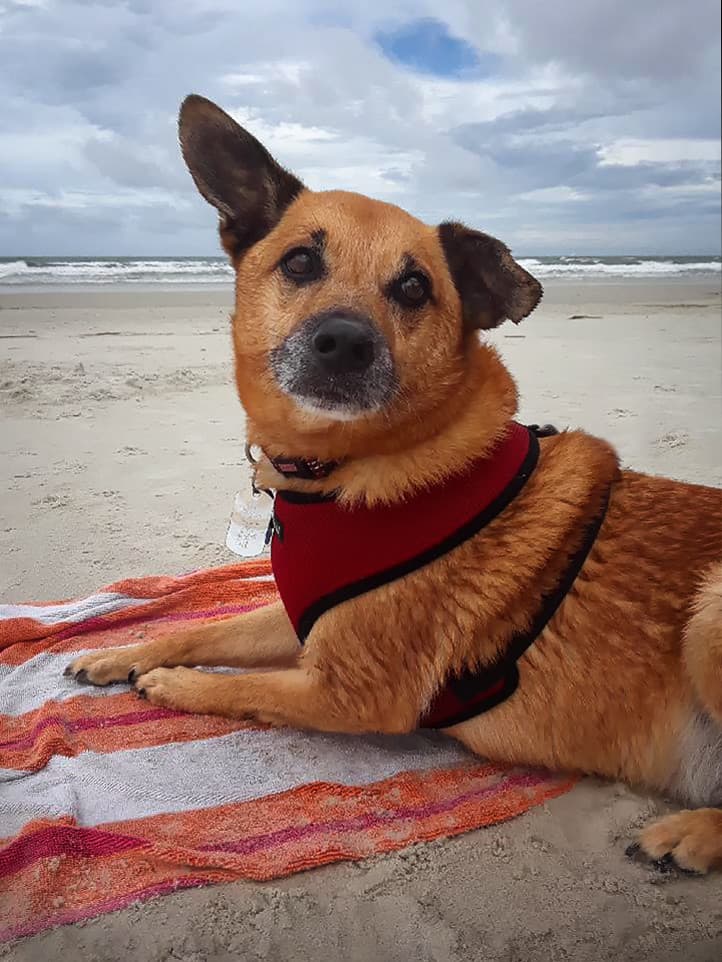 Scarness Beach
