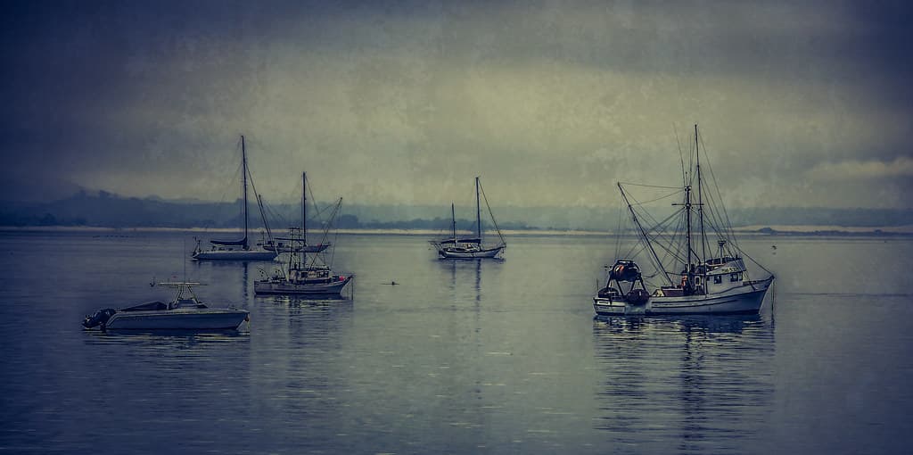 Safe Harbor
