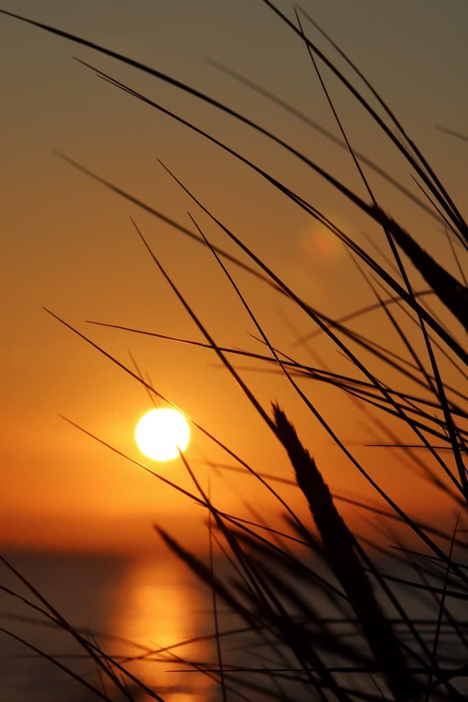 Huisduinen Beach