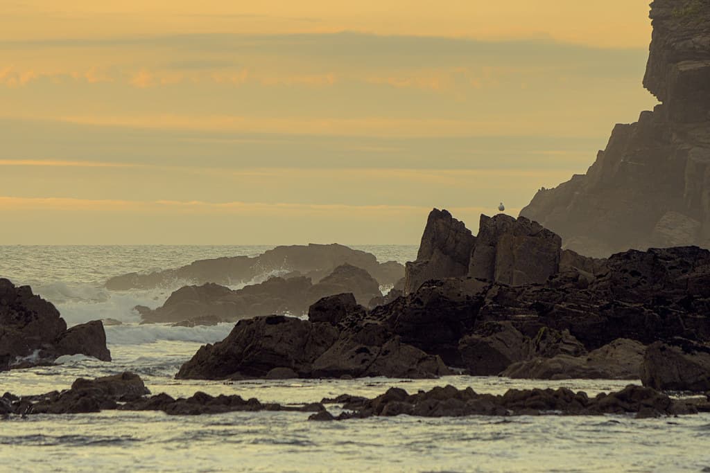 Duckpool Beach — photo by Andrew Coombes