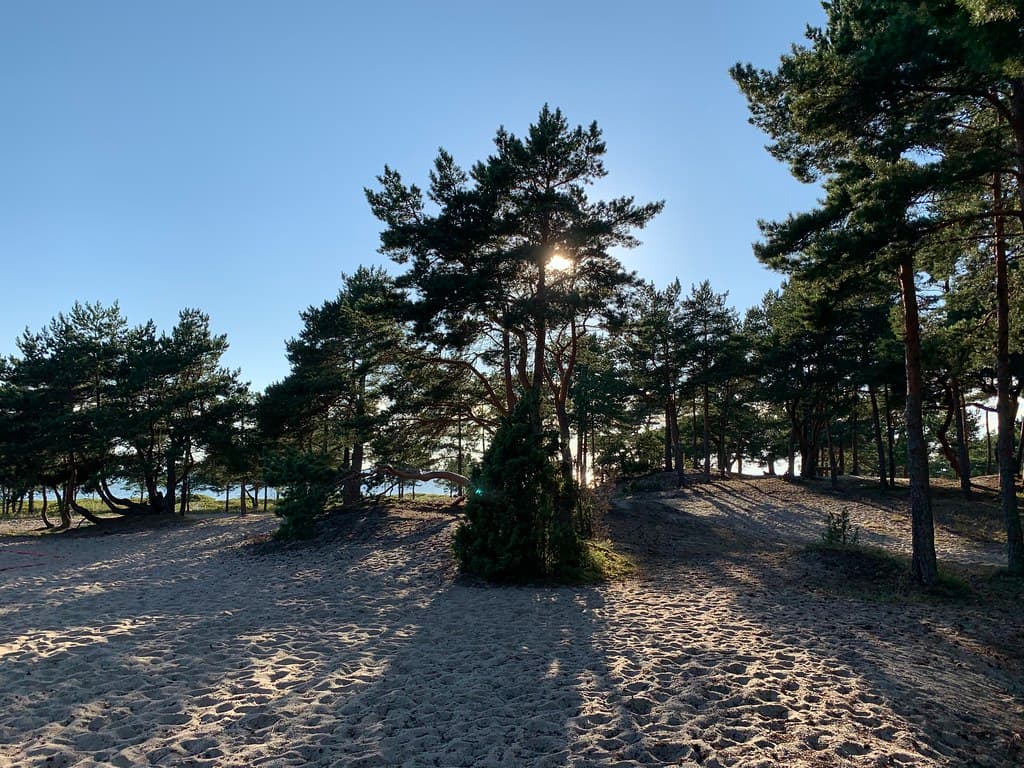 Lohusalu Beach — photo by sergei.gussev
