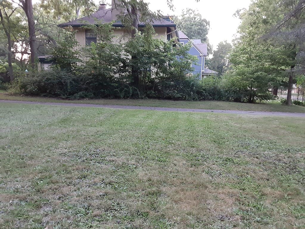 435 Stuart AVE, Kalamazoo, MI 49007