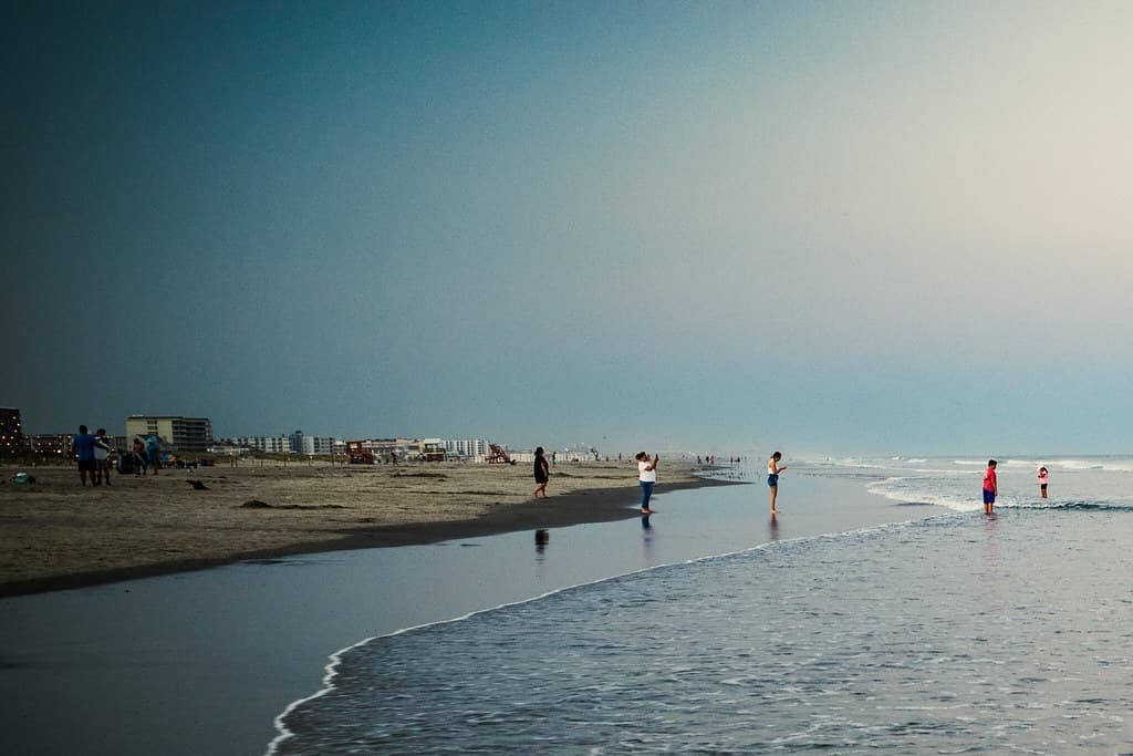 Life on the Beach