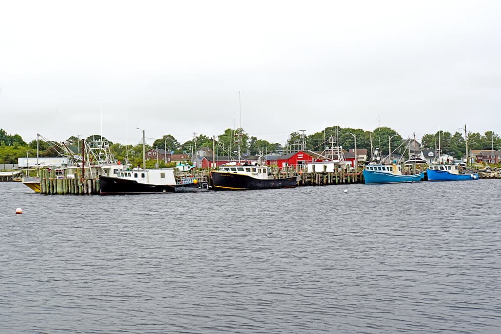NS-01403 - Fishing Fleet