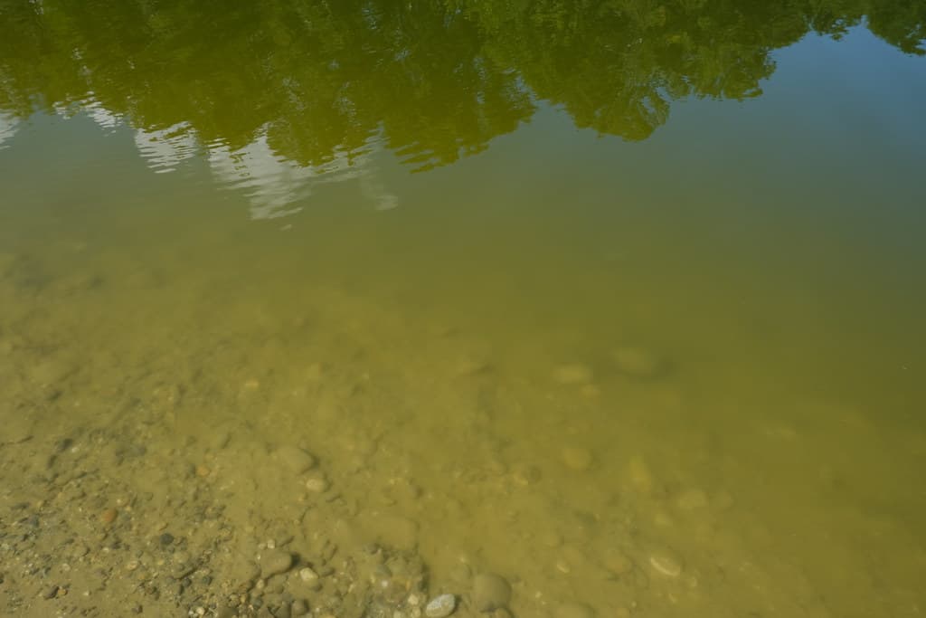 Eau trouble @ Plage de La Plaine @ Dardagny