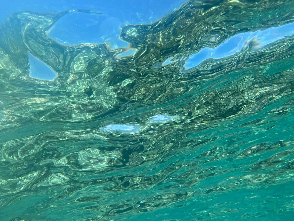 Dive