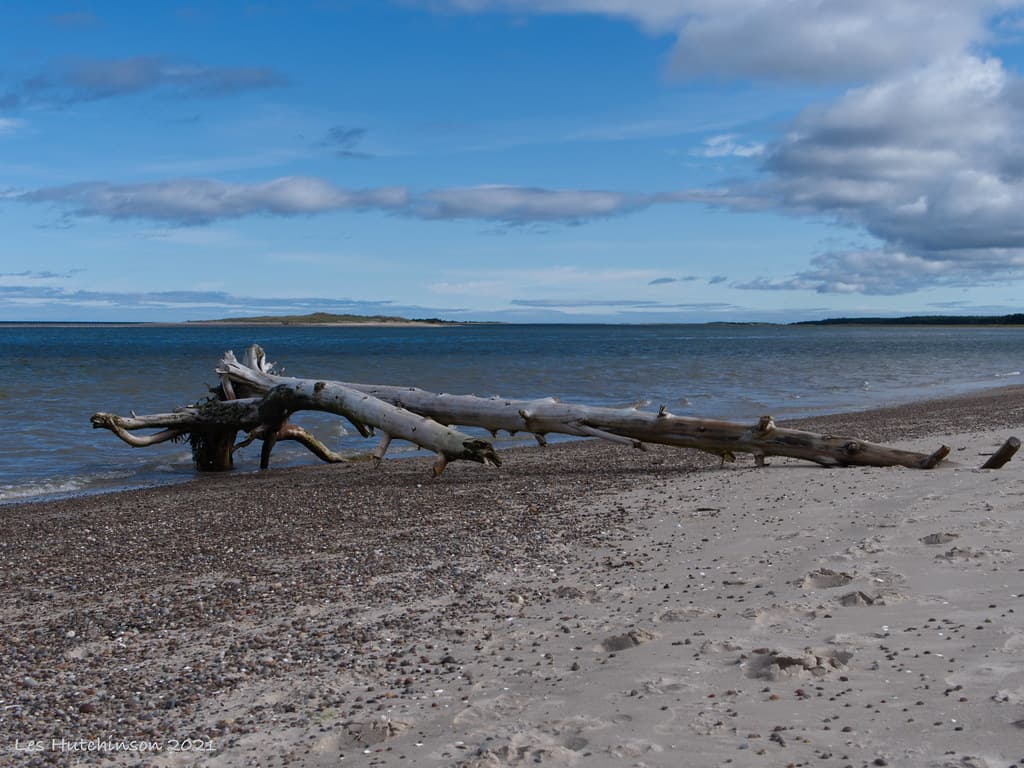 Auldearn Beach — photo by LesHutchinson