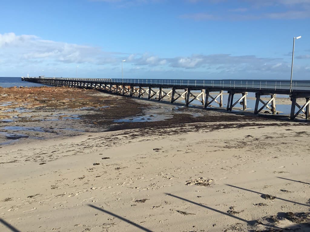 Moonta Bay. Low tide rocks and the long jetty used by fishermen.