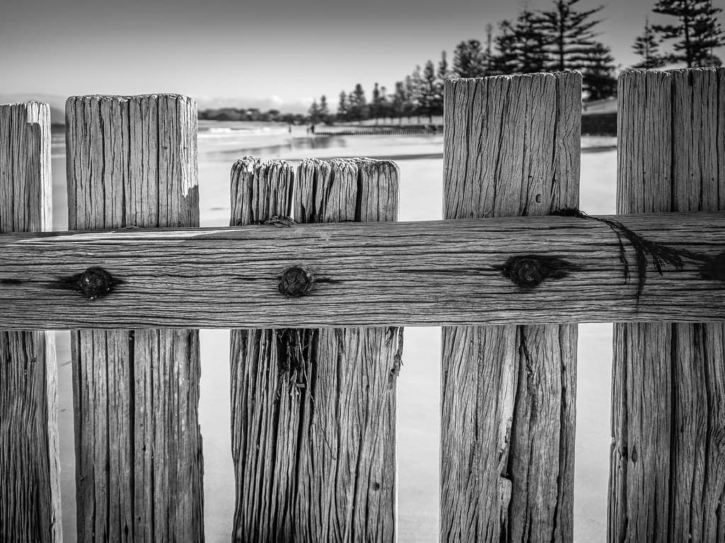 Torquay Timber