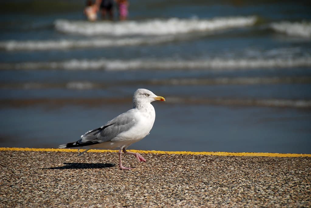 Putting Your Best Foot Forward!