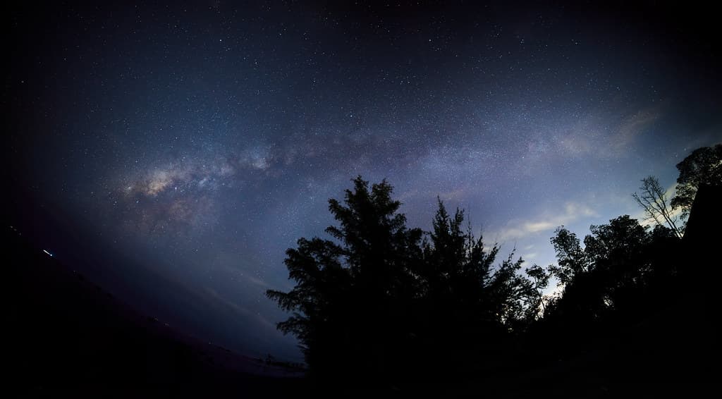 Starry night