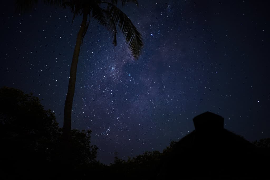 Starry night