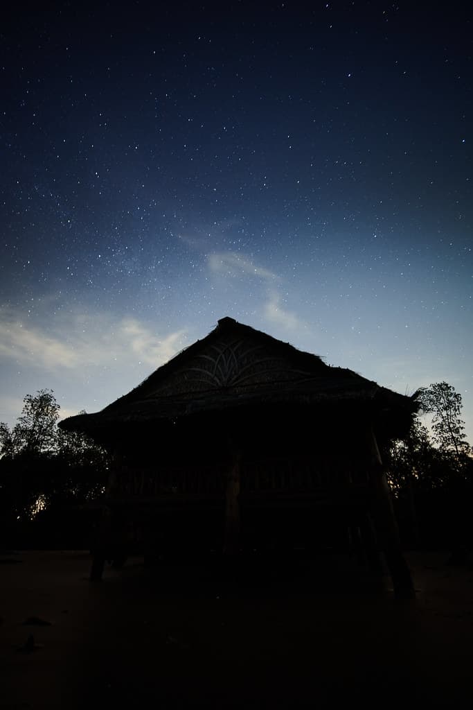Starry night