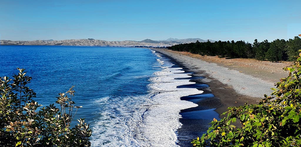 Rarangi beach Marlborough NZ