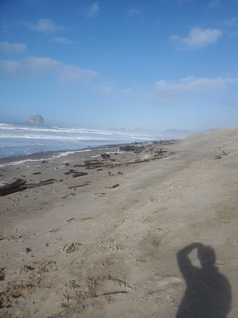 Bob Straub State Park beach at high tide