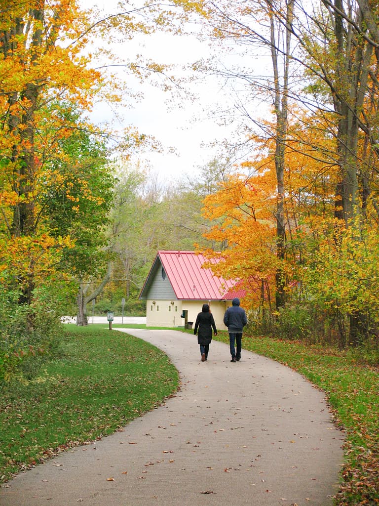 An autumn stroll