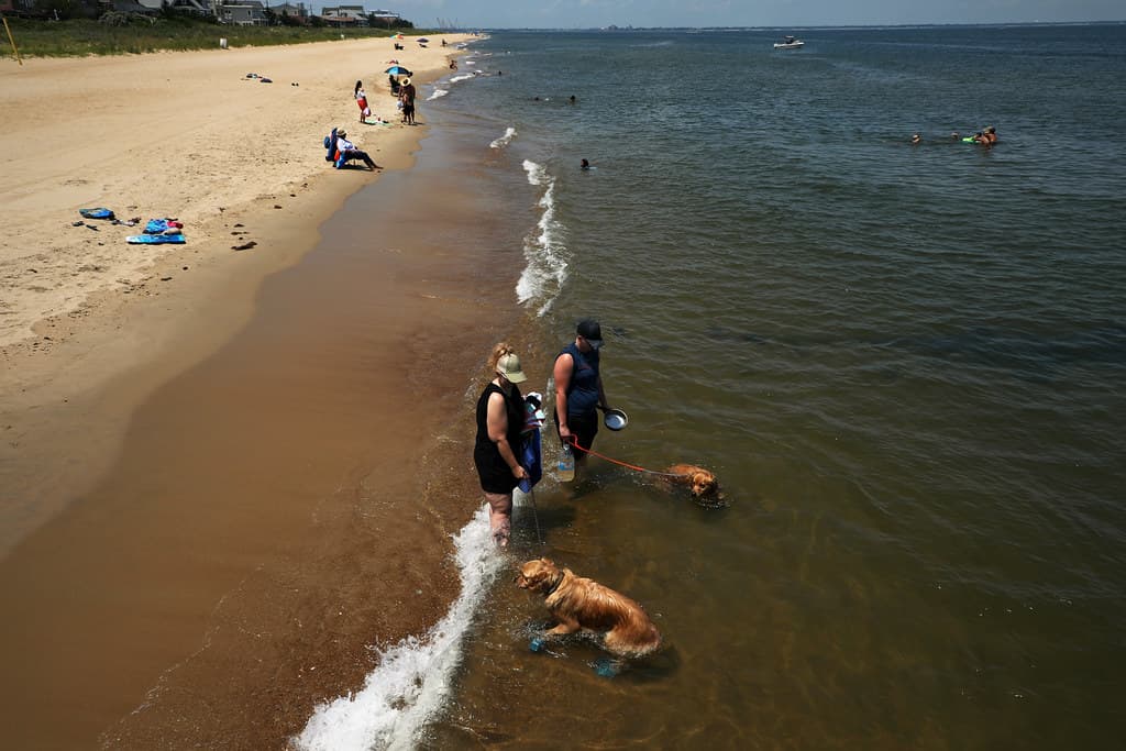 Sarah Constant Beach Park