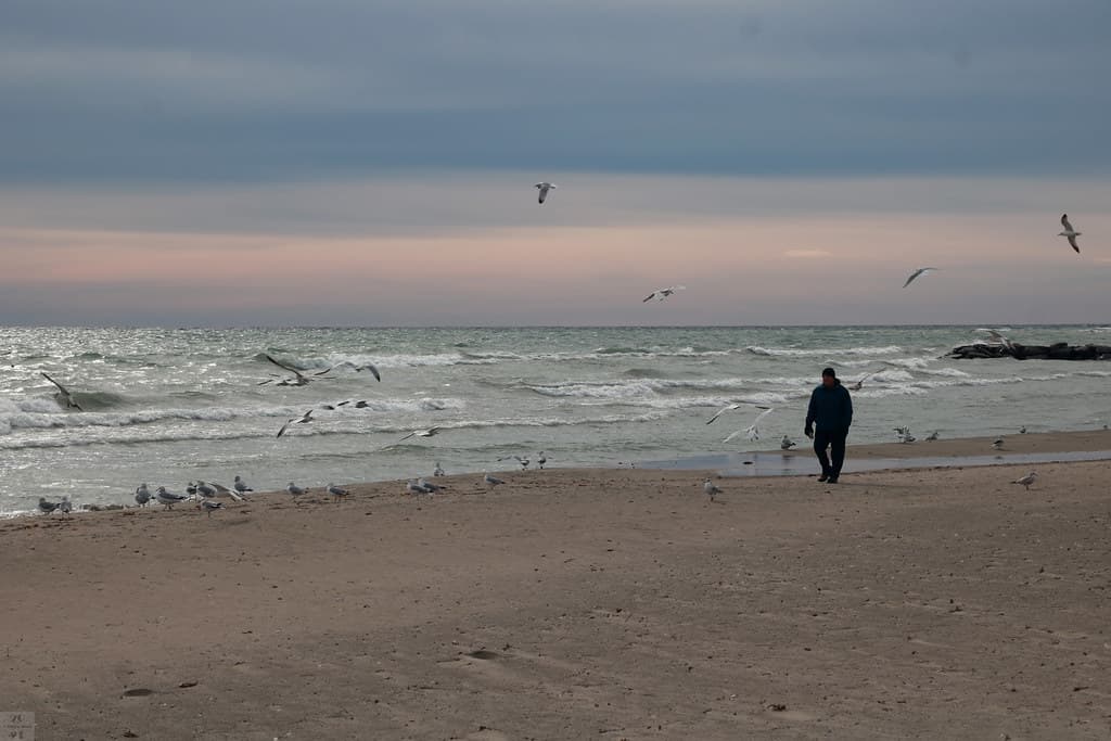 Blustery weather