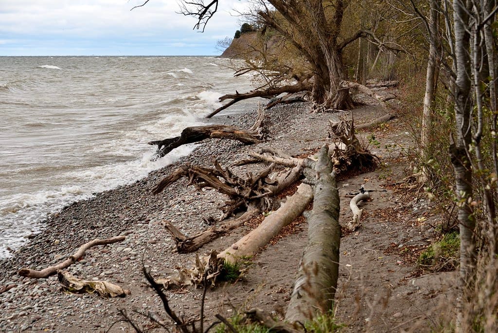 Sodus Point Beach Park